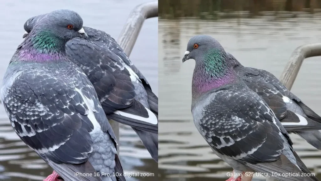 iPhone-16-Pro-10x-digital-zoom-vs-Galaxy-S25-Ultra-10x-digital-zoom