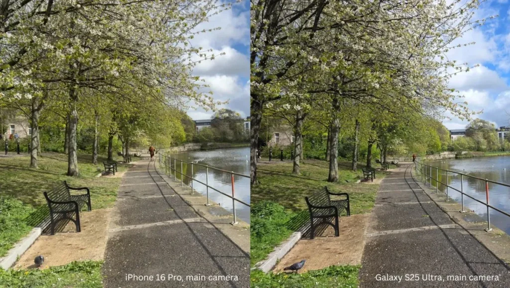 iPhone-16-Pro-main-camera-vs-Galaxy-S25-Ultra-main-camera
